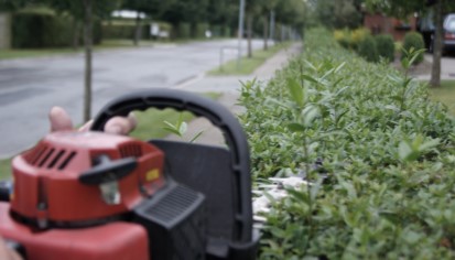 Hvem skal have noget med?
