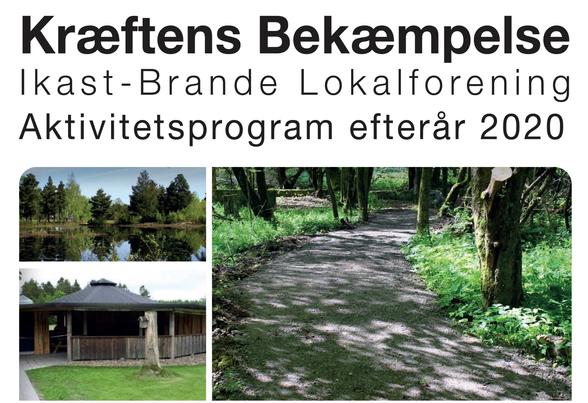 Kræftens Bekæmpelse Aktivitetsprogram efterår 2020